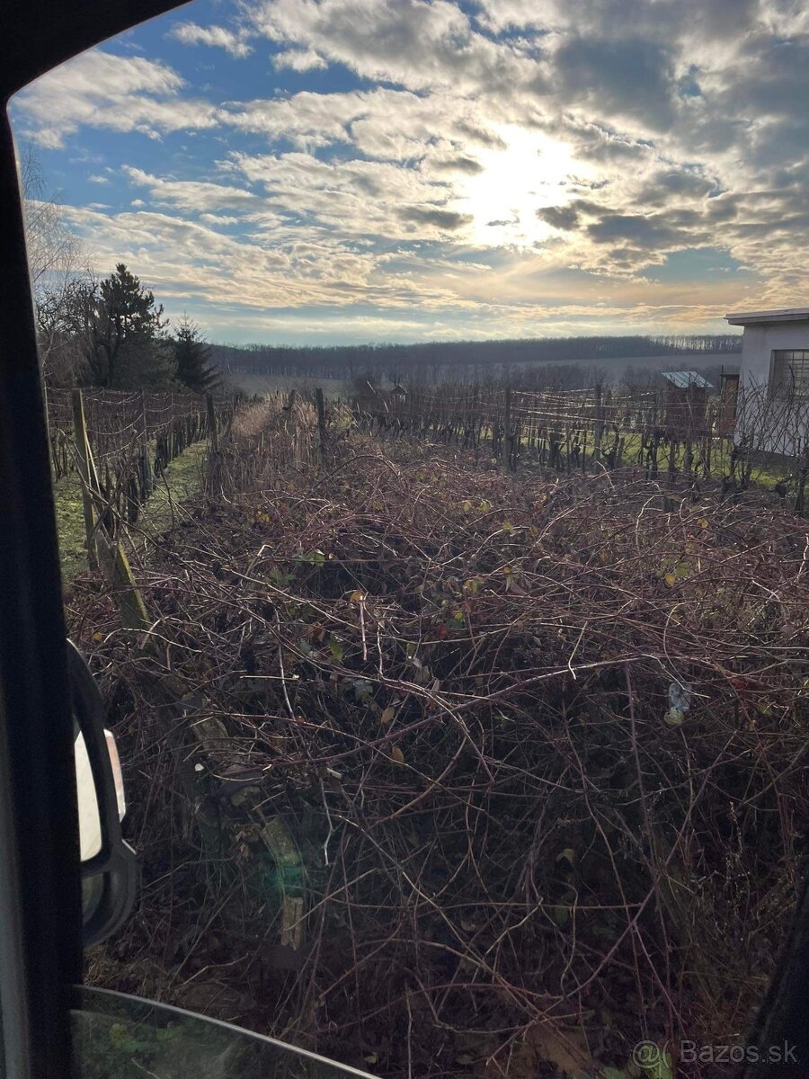 Čistenie pozemkov - mulčovanie, frézovanie - 8