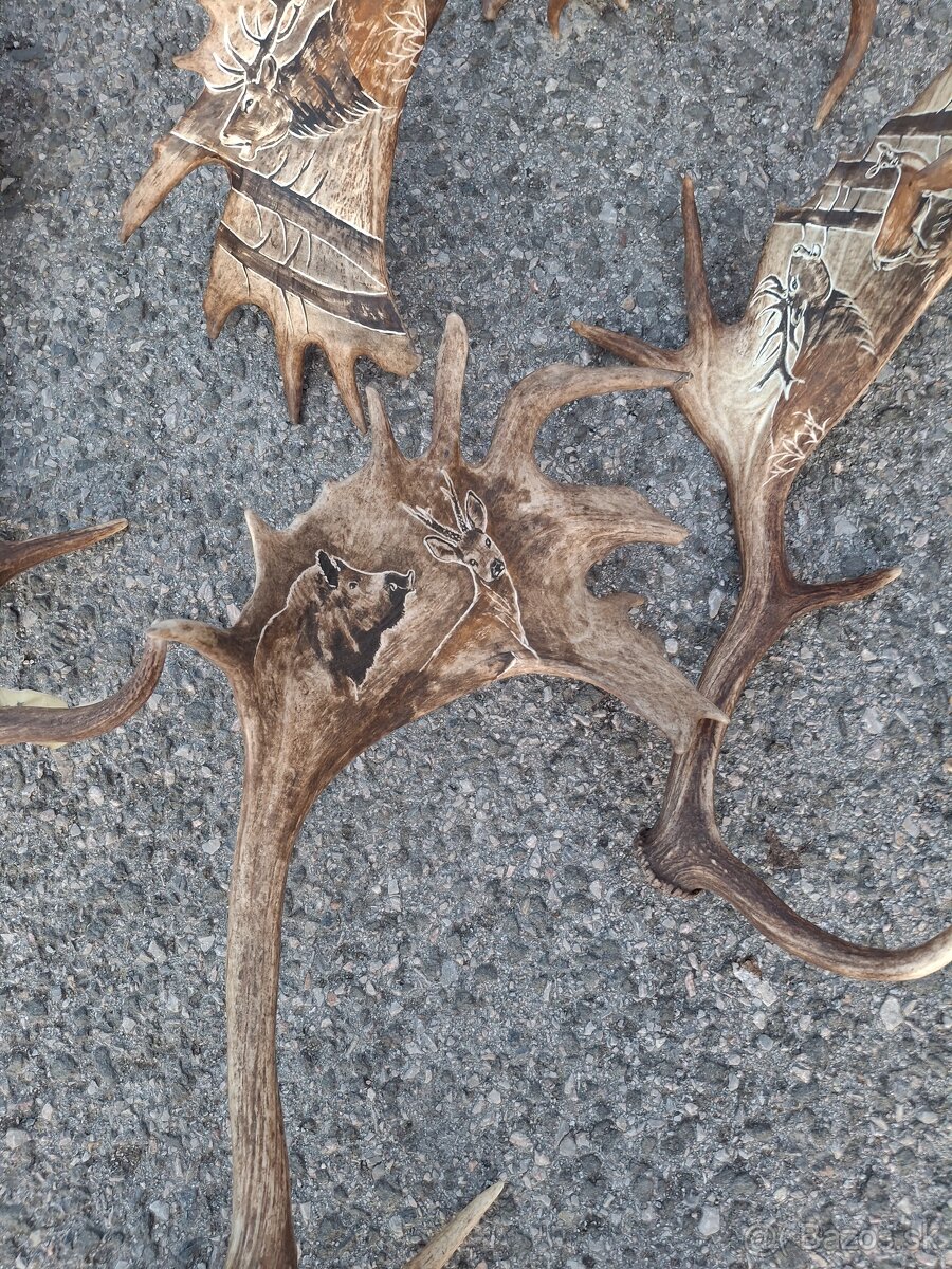 Parohy,zhody,trofeje - 8