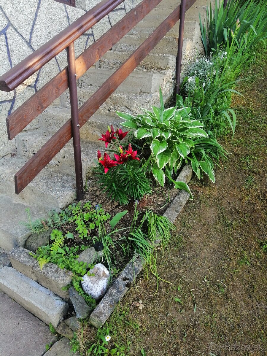 Chata so záhradou - 8