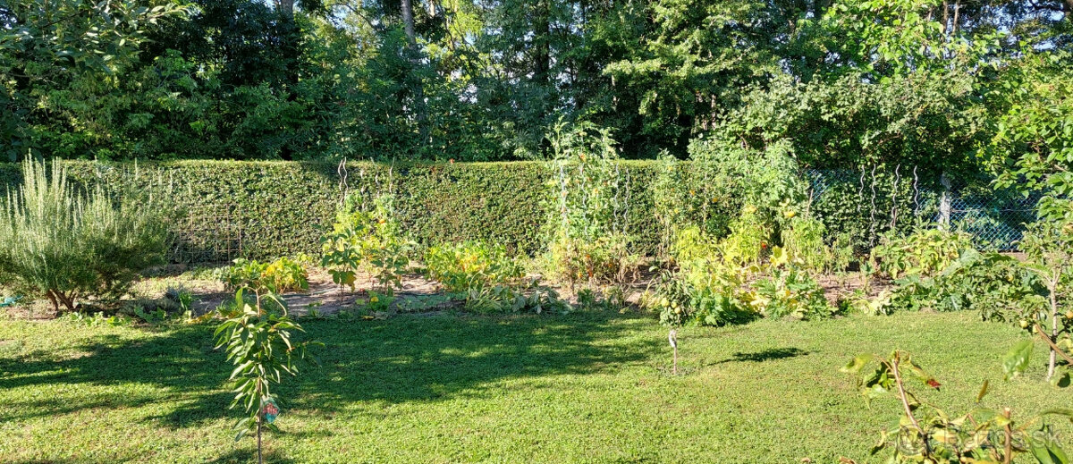 Slnečná vila pre väčšiu rodinu (firmu) len 25km od Bratislav - 8