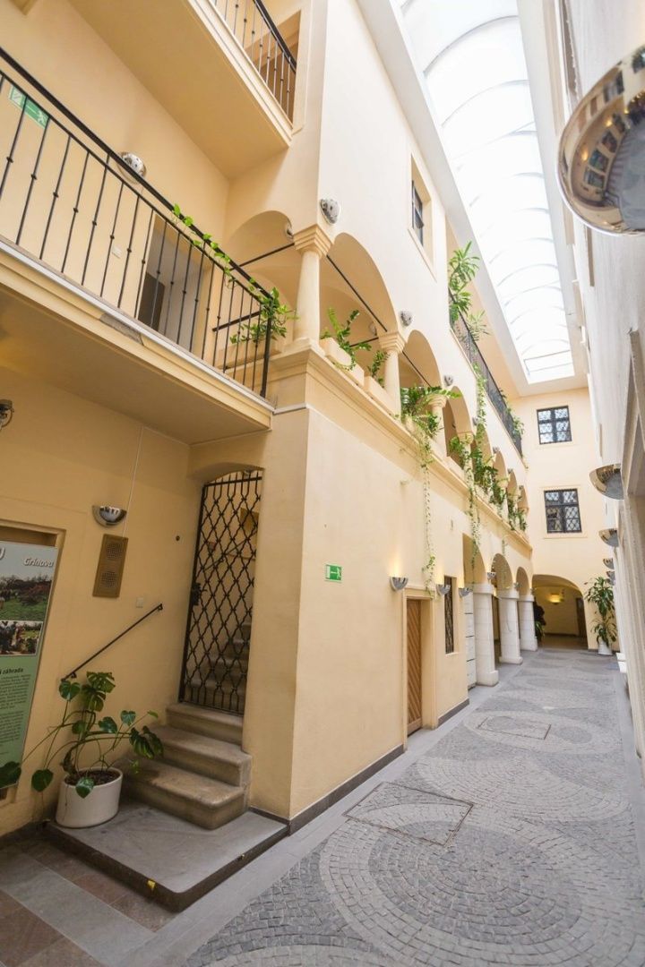 Priestory na pešej zóne v krásnej historickej budove, Michal - 8