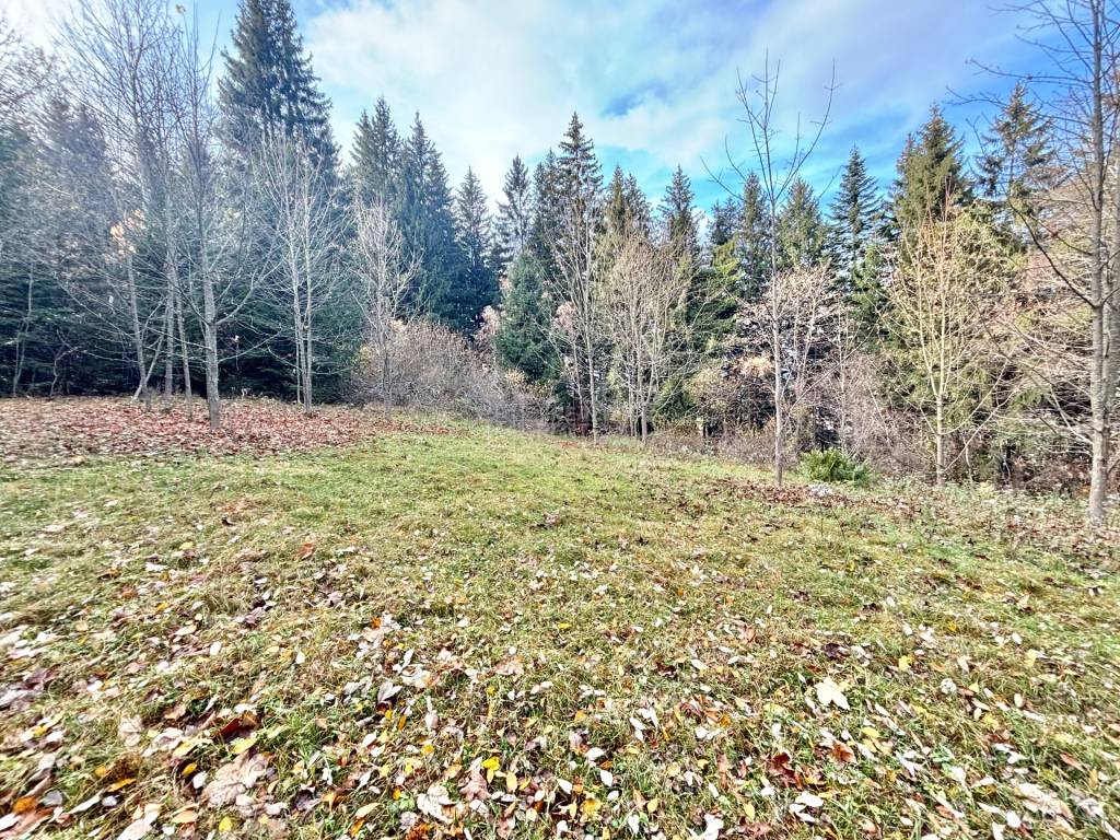 Predaj rekreačného pozemku v Klokočove - 8