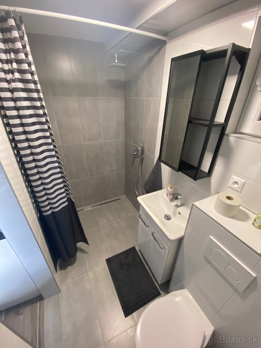 Ponúkam na prenájom skladovo-výrobnú halu - 8