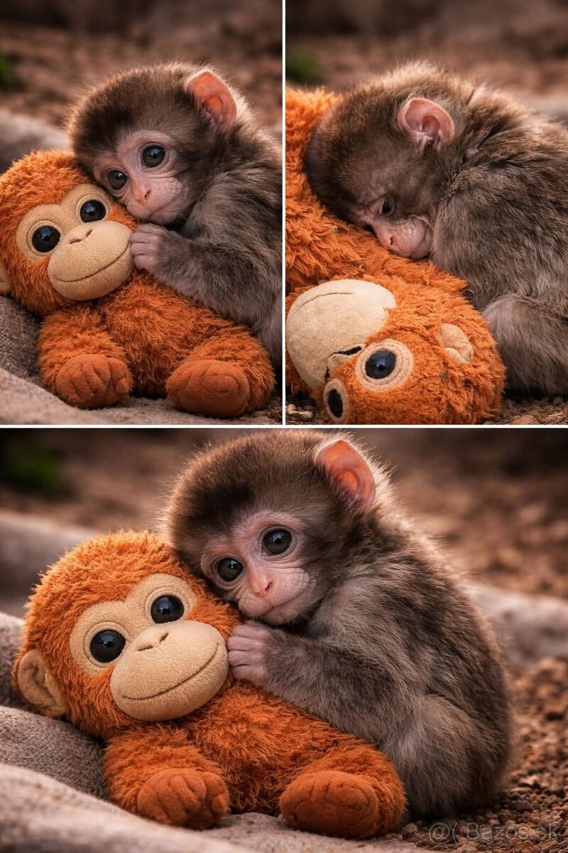 PUNCH original opička plyšová hračka - 8