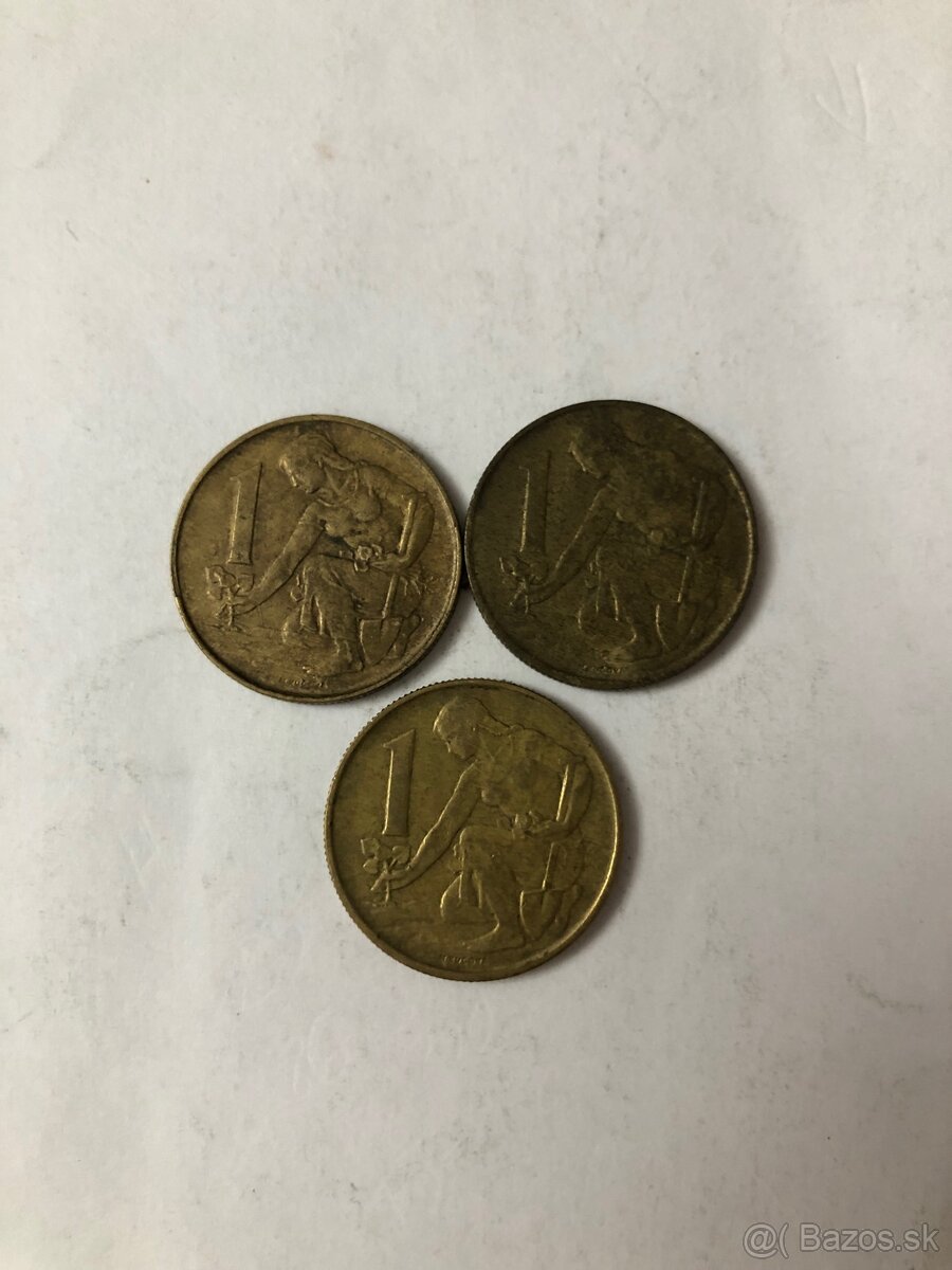 Mince 9 - 8