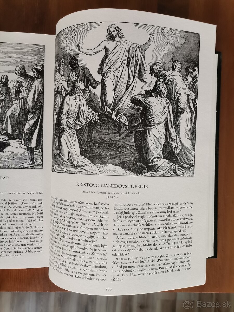 Písmo sväté v obrazoch - 8