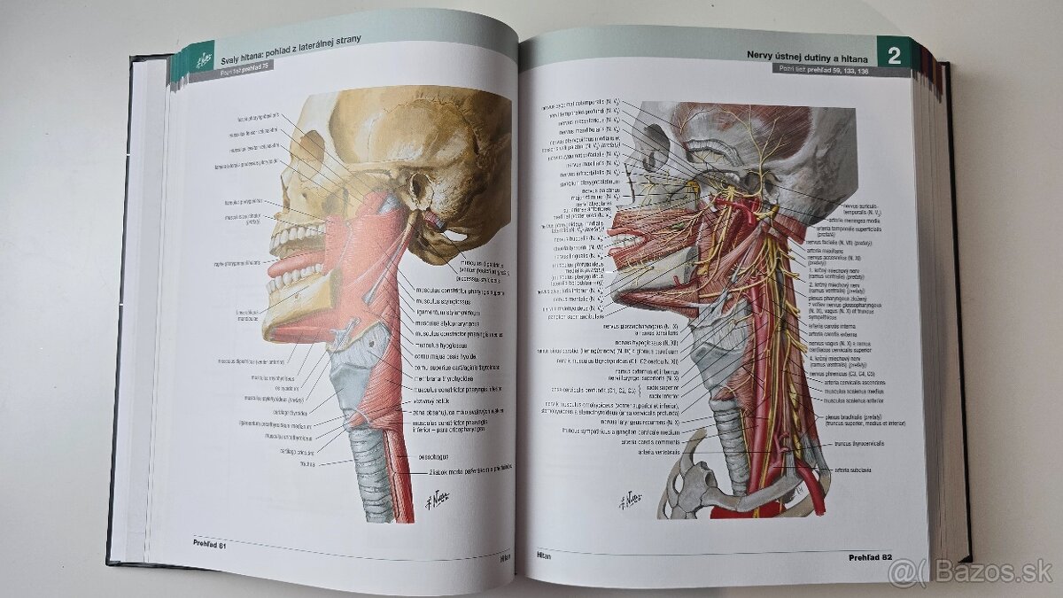 📘 Netterov anatomický atlas, 7. vydanie TOP stav - 8