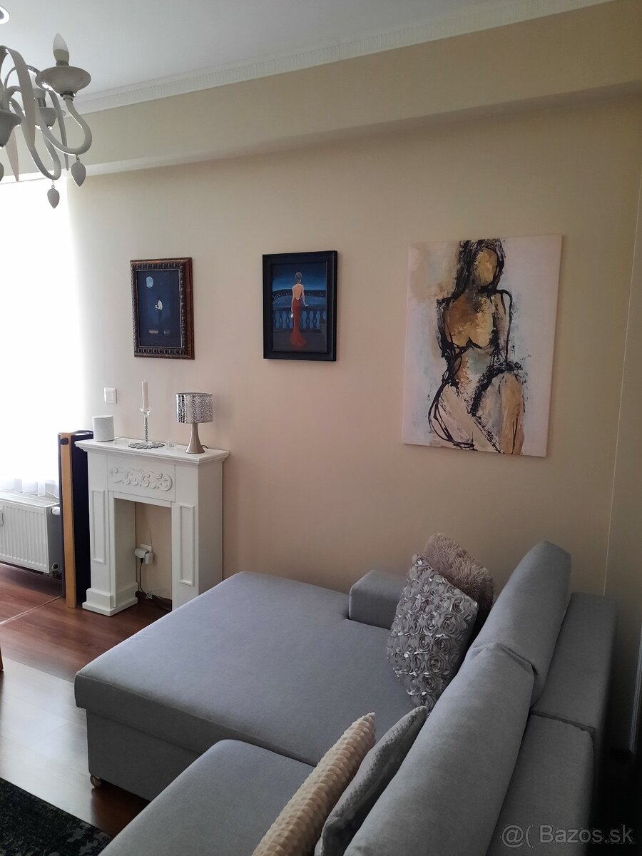 Predaj 1 izboveho bytu - 8