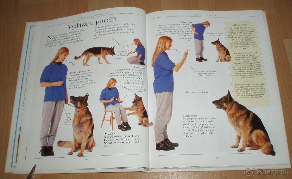 Výchova a výcvik psa - 8