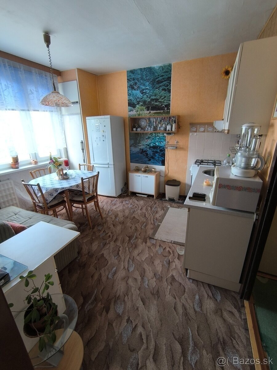 Jednoizbový byt v Leviciach - 8