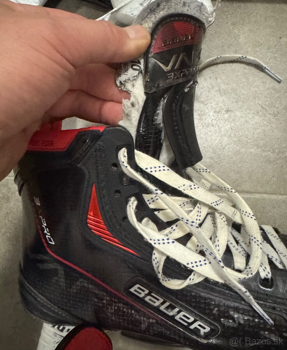 PREDAM SENIOR KORCULE - 8