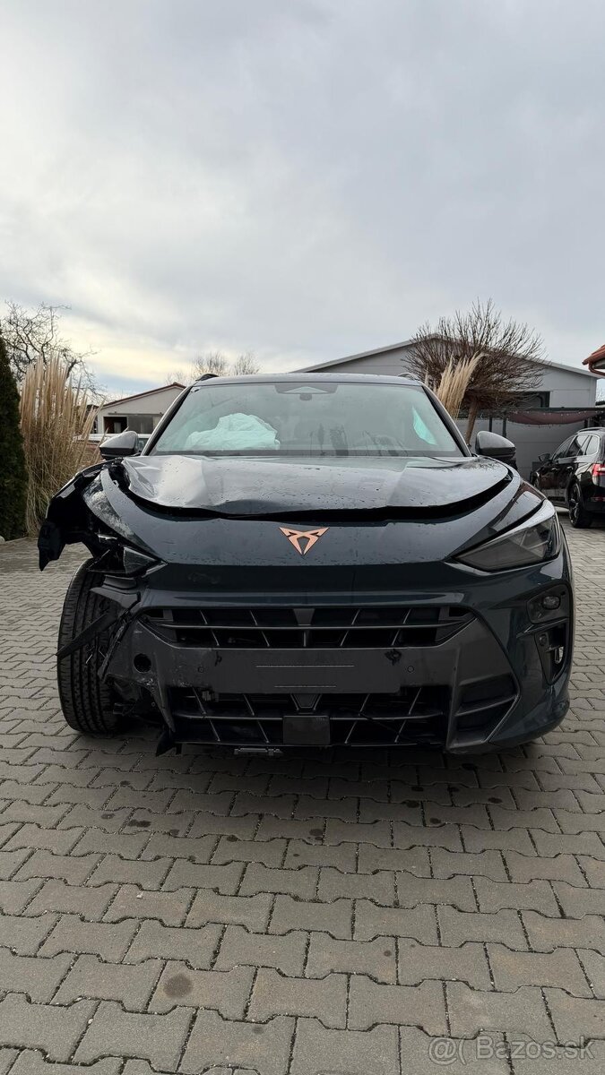 Cupra Terramar 1.5tsi hybrid/e 110kw - 8