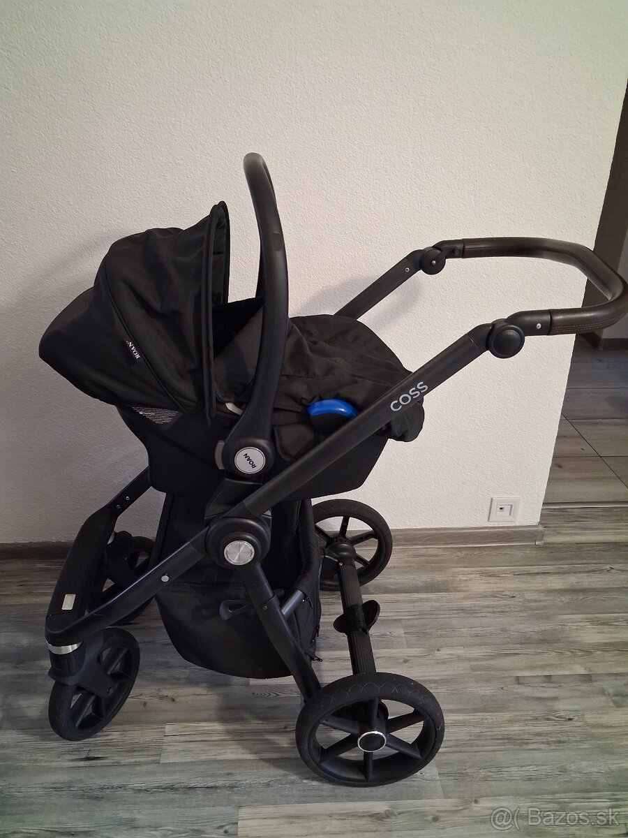 Roan coss - 8