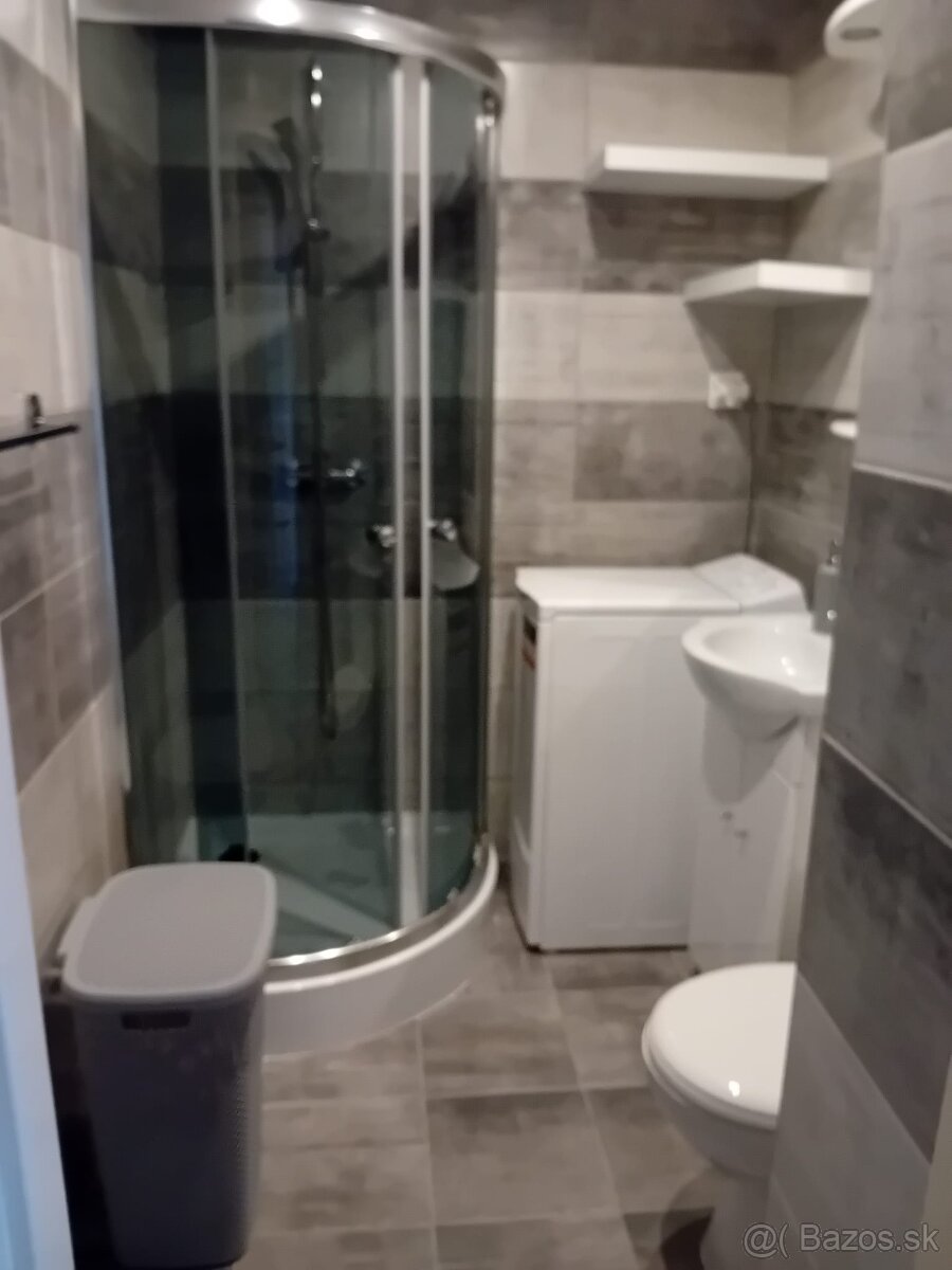 Na prenájom 1 izbový byt - 8