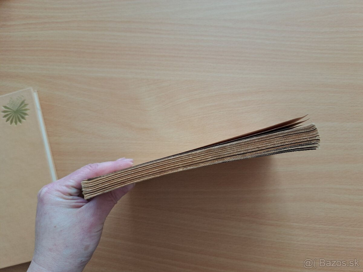 Vladimír Roy: Rosou a tŕnim - 8