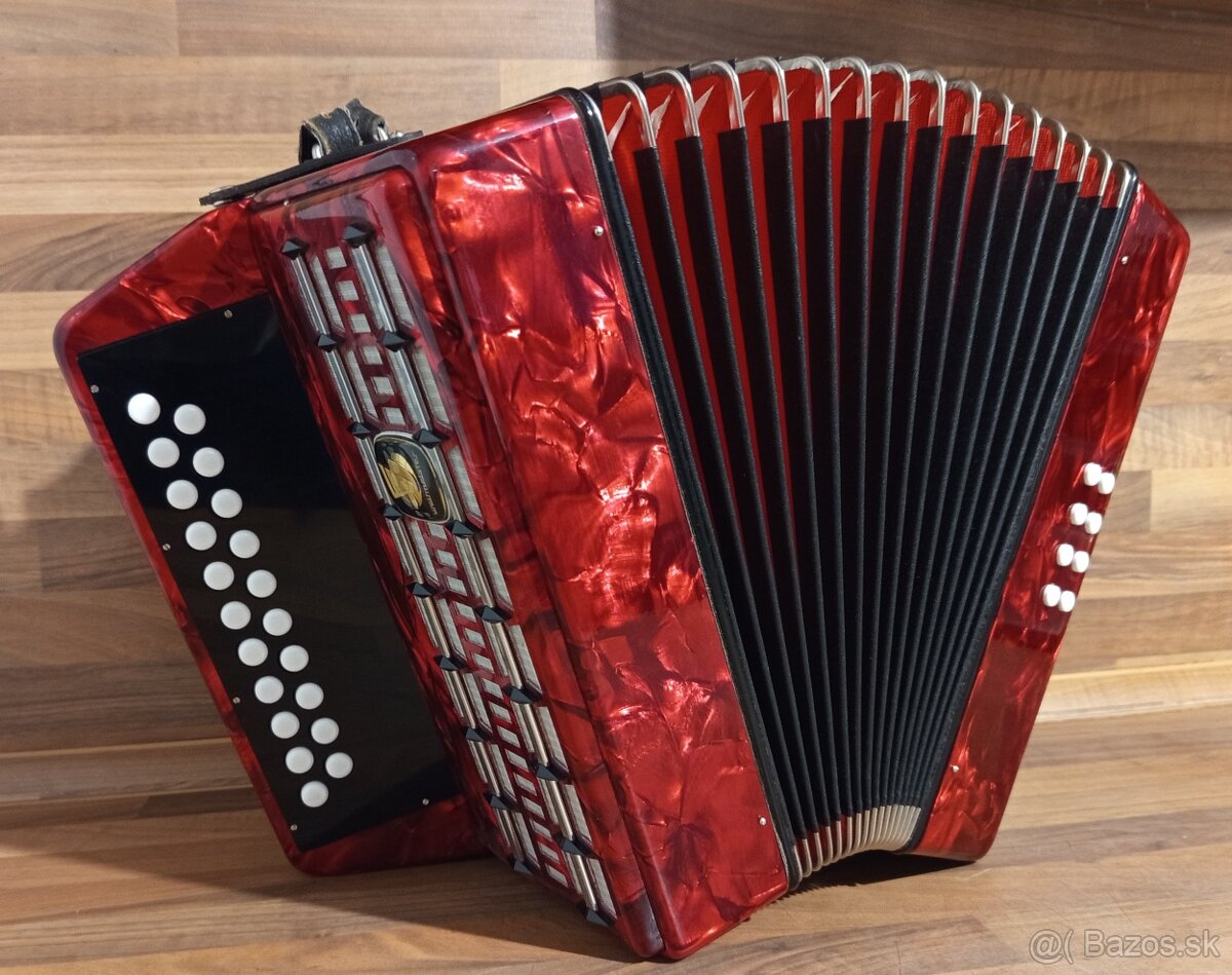 Akordeon, harmonika, heligonka - 8