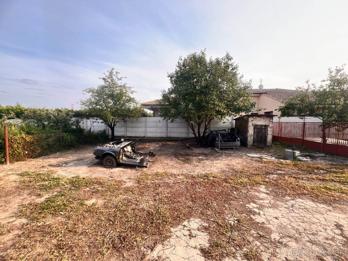 Extrémne upratovanie & Úprava dvorov - 8