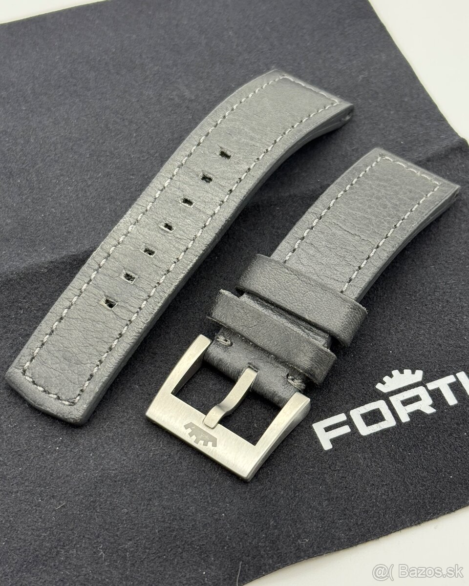 Fortis Flieger F-39 - 8