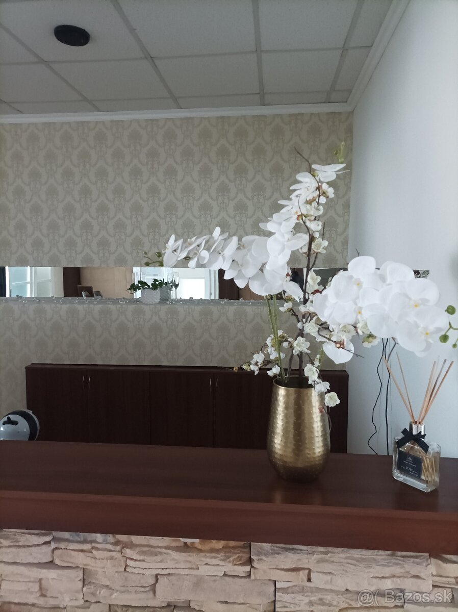 Predám zabehnutý svadobný salón - 8