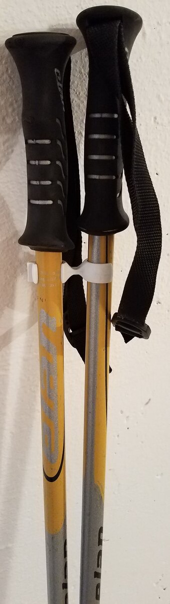 Lyže Elan S10 titanium s palicami - 8