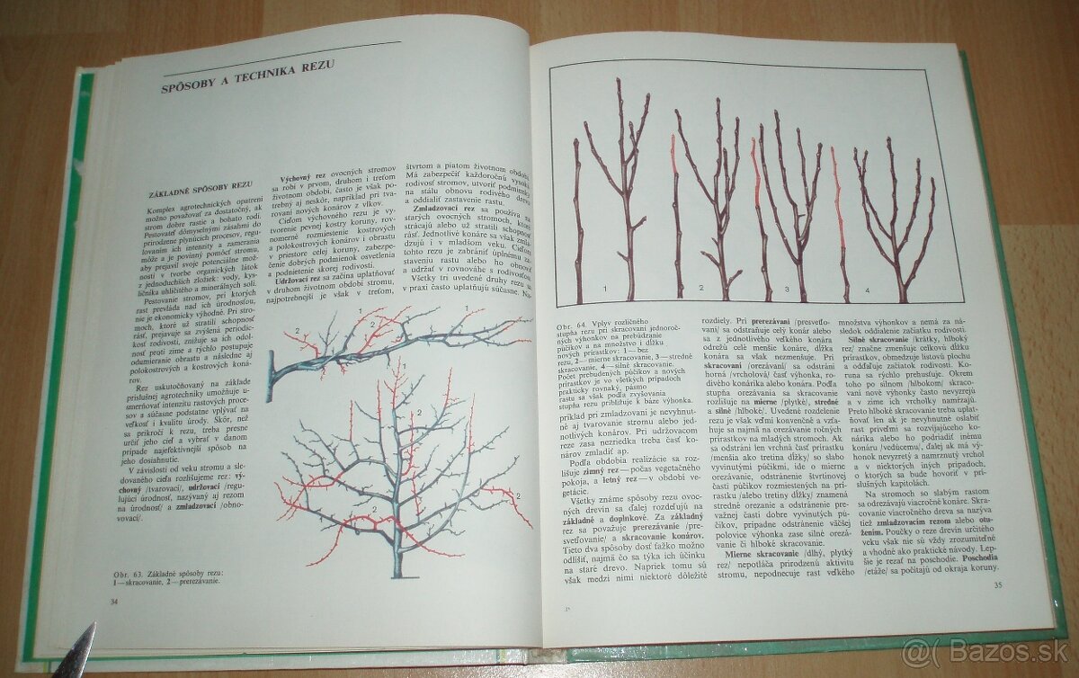 Tvarovanie a rez ovocných drevín - 8