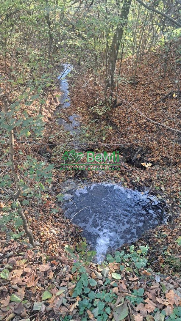 Znížená cena Dva Domy na samote v krásnej prírode Stará Turá - 8