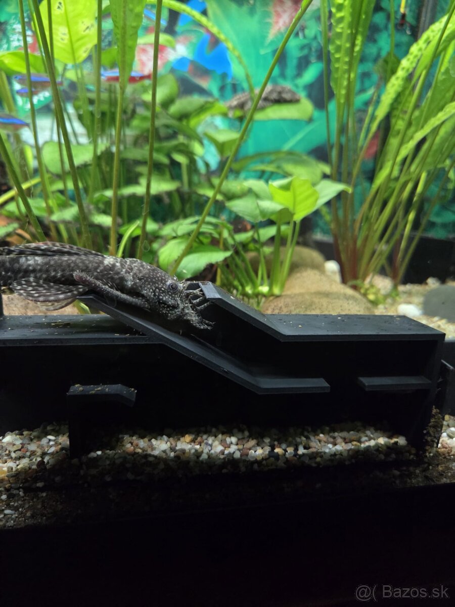 Akvarium 180 L - 8