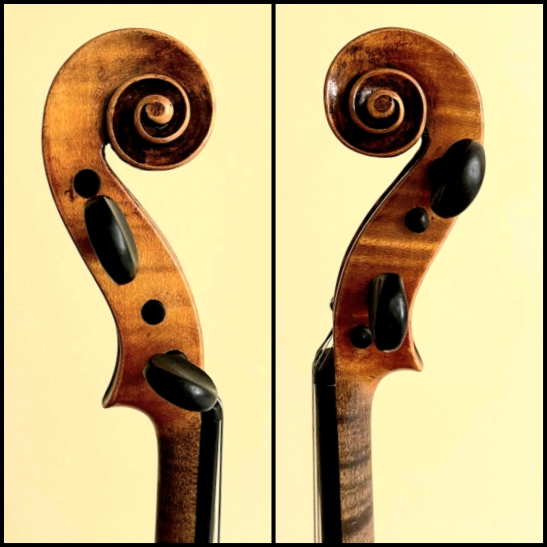 Husle 4/4 model Paolo Maggini - 8