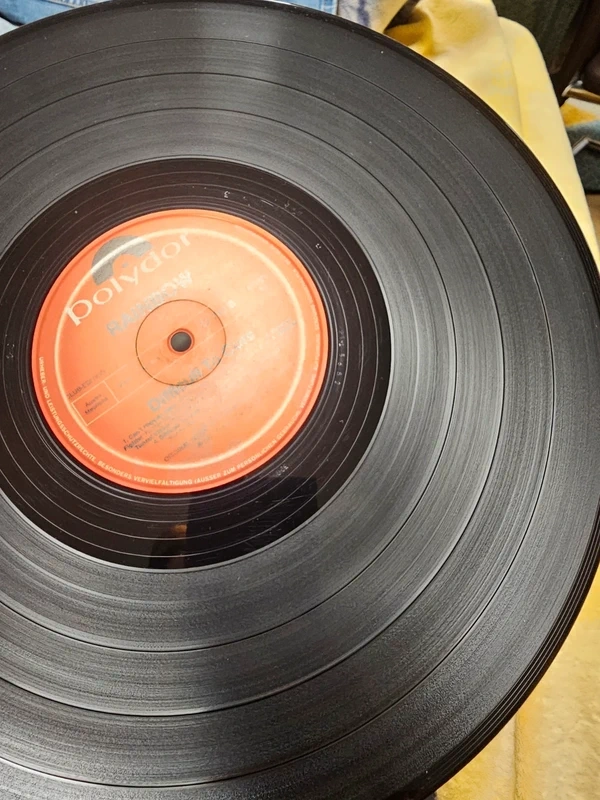 LP Rainbow - Difficult to cure - 8