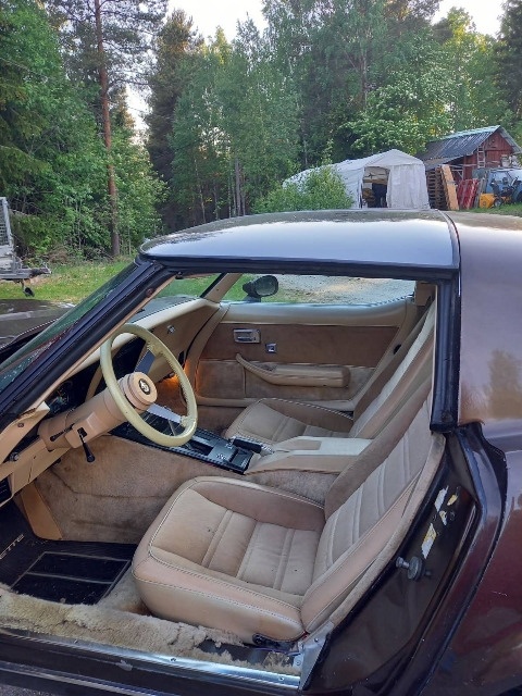 Chevrolet Corvette C3 z roku 1978 - 8