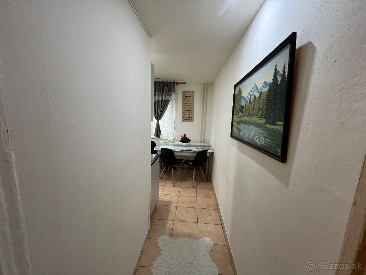 2,5-izbový byt komplet zariadený – prízemie, zateplený panel - 8