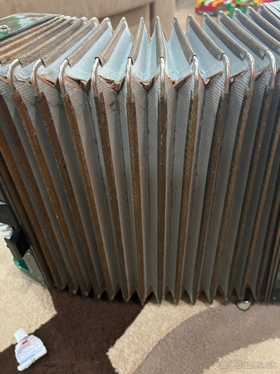 Harmonika-akordeón Lignatone - 8