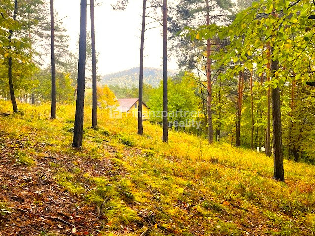Chatárčenie pekný pozemok v nádhernej prírode na Drienici (F - 8