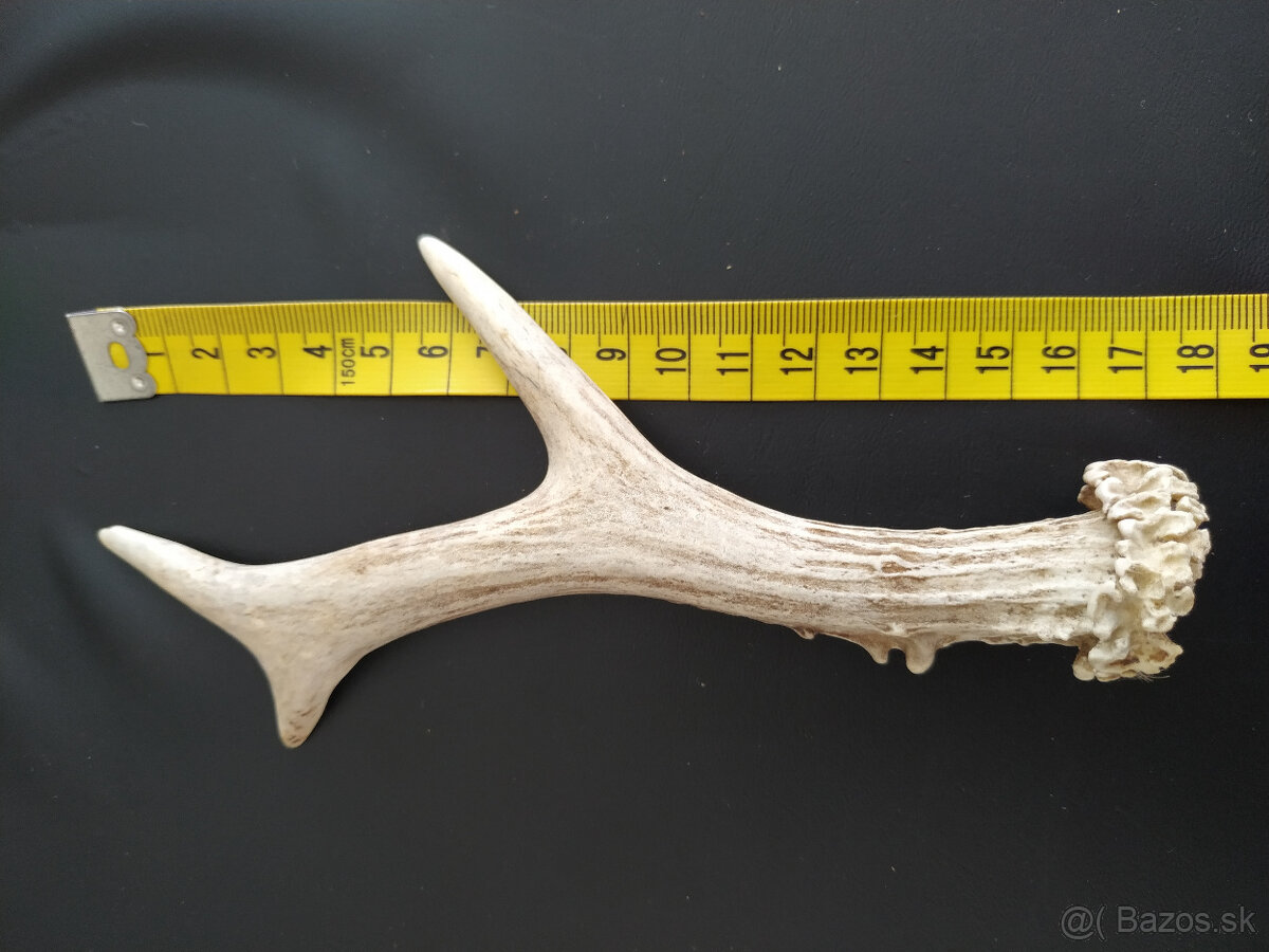 Samorast / Paroh - 8