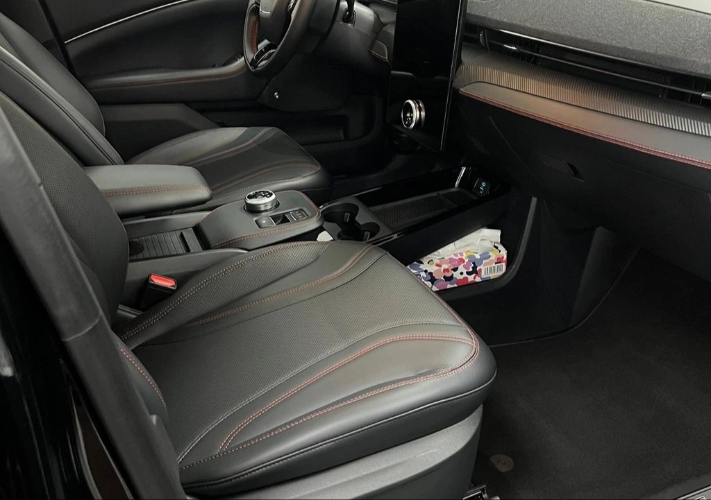 Ford Mustang Mach-E - 8