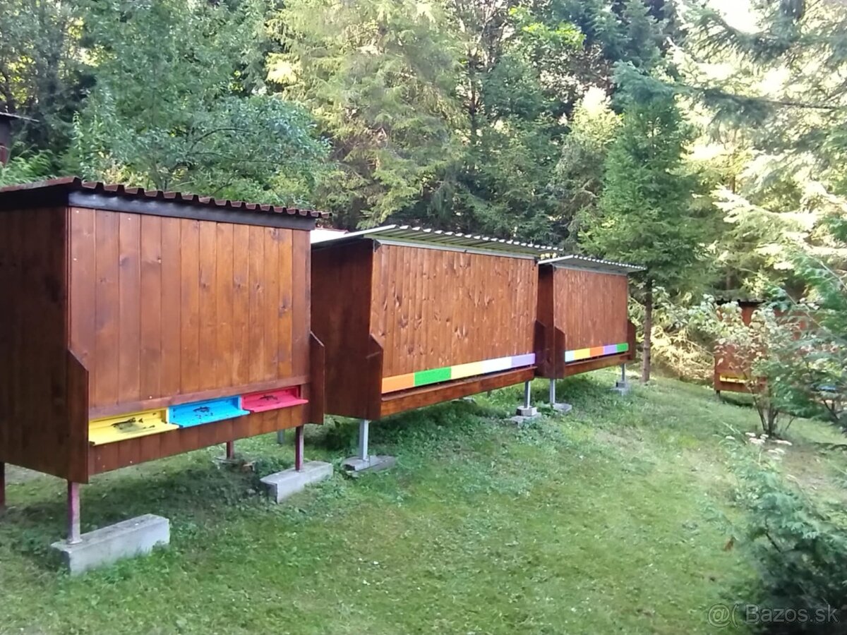 Predam domec pre 5 ulov - 8