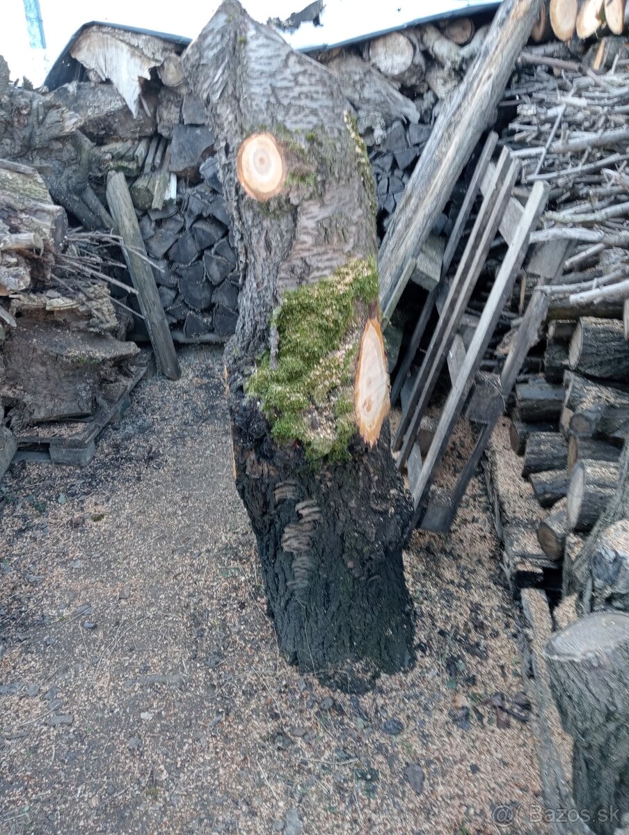 Ceresnové drevo - 8
