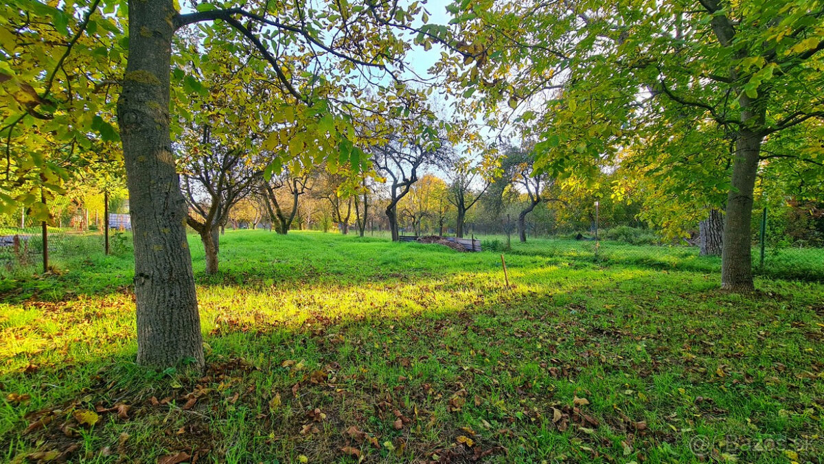 Rodinný dom v Nitrianskom Pravne,pozemok 1611m2+garáž,dielňa - 8