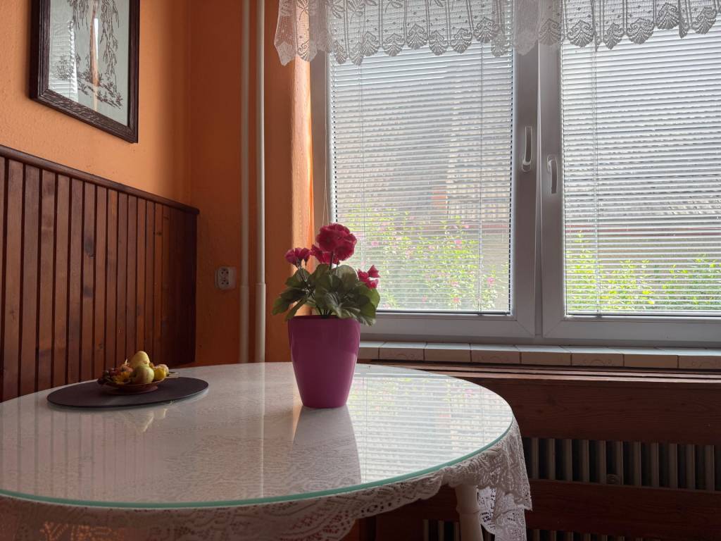 Dva rodinné domy s atmosférou vidieka – Skačany pri Partizán - 8