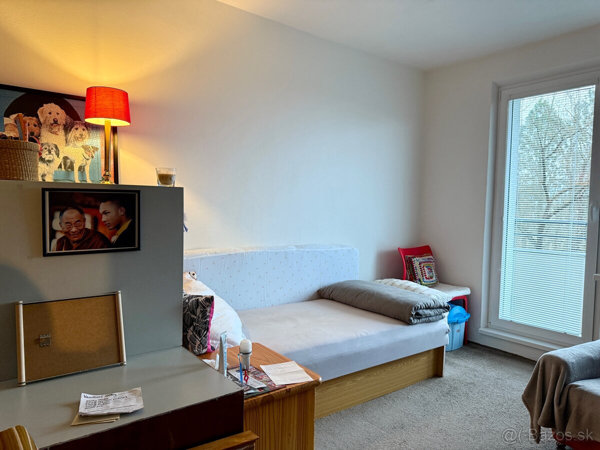 Prenájom 3 a pôl izbový byt Čínsky Múr Prievidza - 8