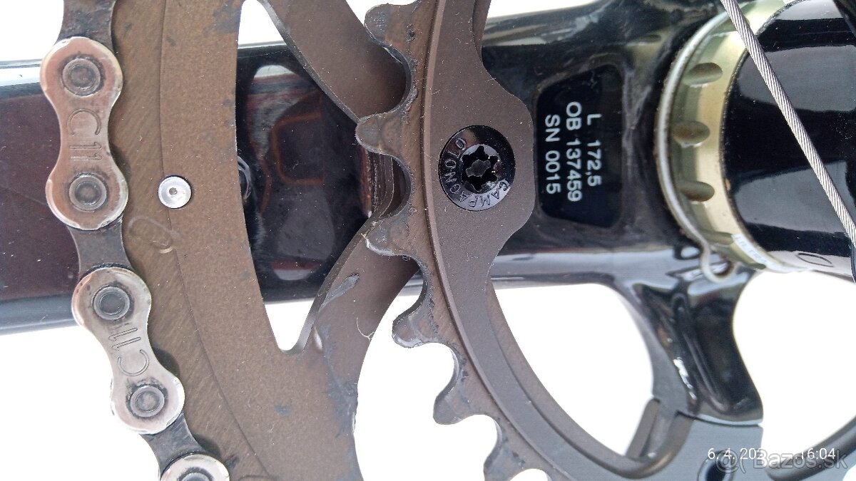 Basso campagnolo - 8