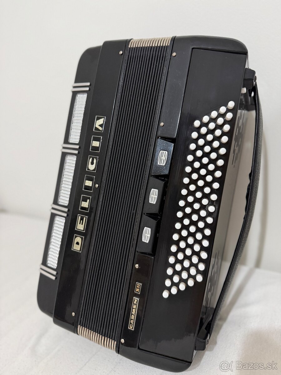 Akordeón Delicia - 8