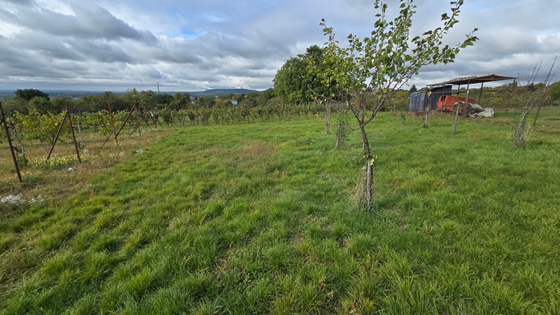 Veľký pozemok v obci Rybník - časť Kráľovka o výmere 3097 m2 - 8