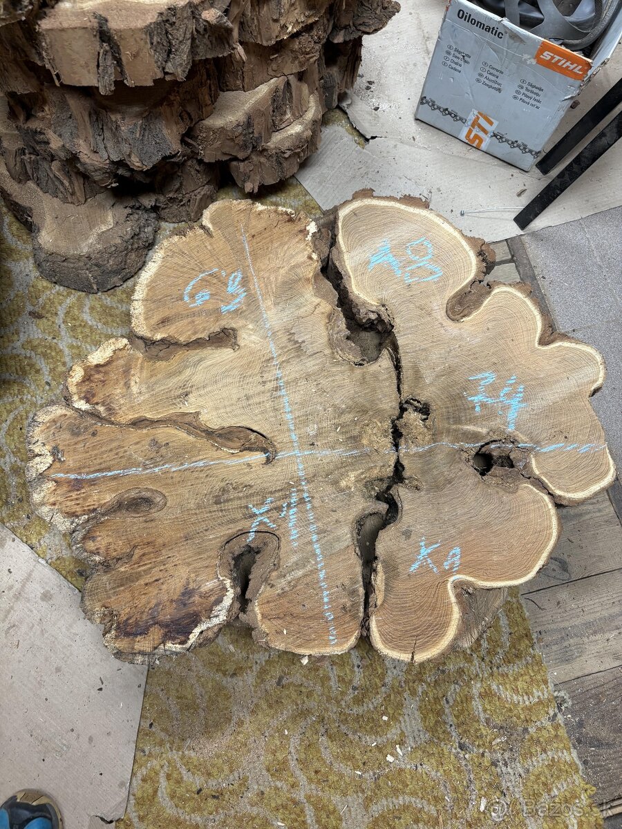 Vysušené agátové koláče / priečne rezy, agát - 8