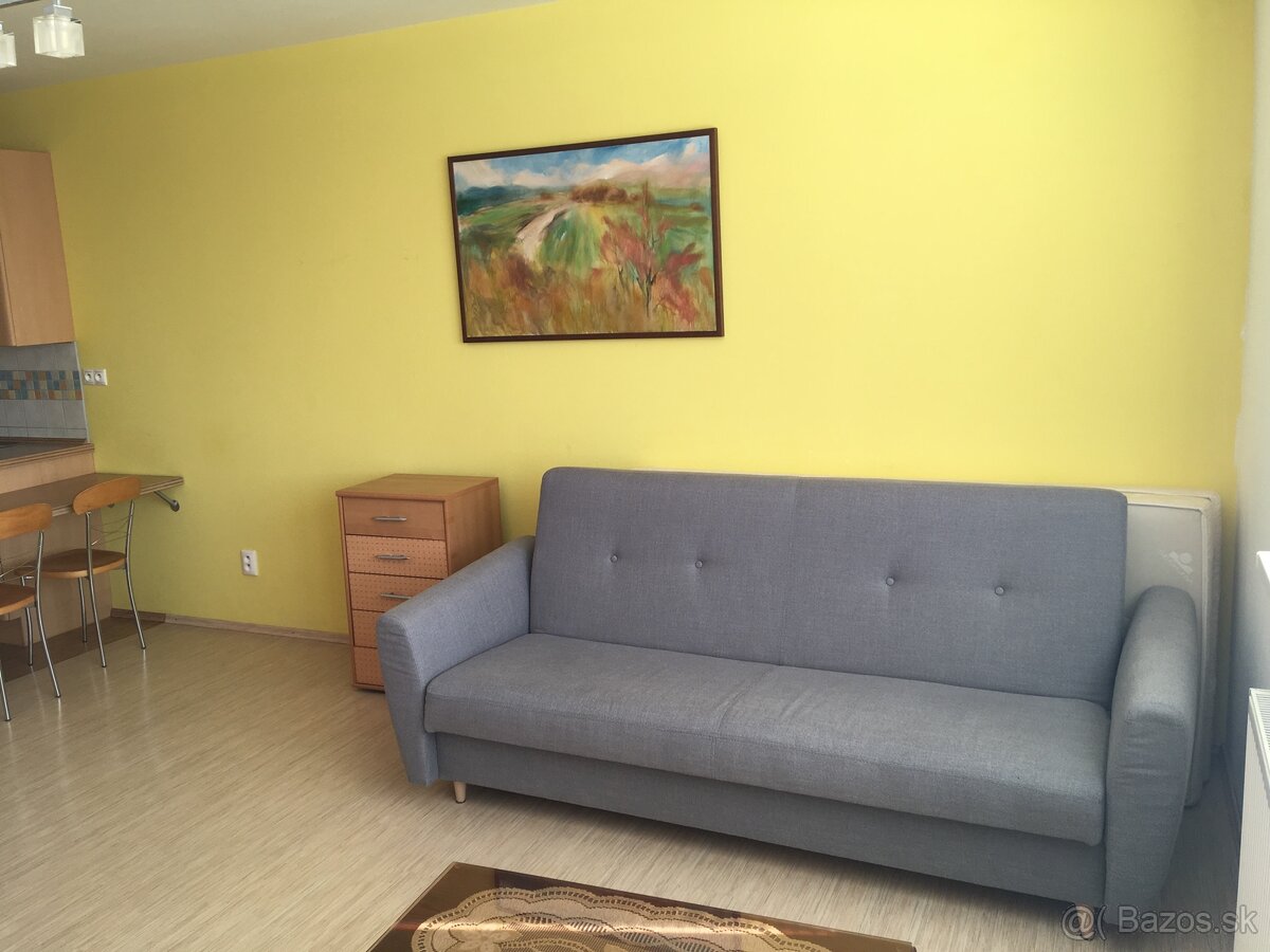 1-izbový byt prenajom Lichnerova ulica - 8