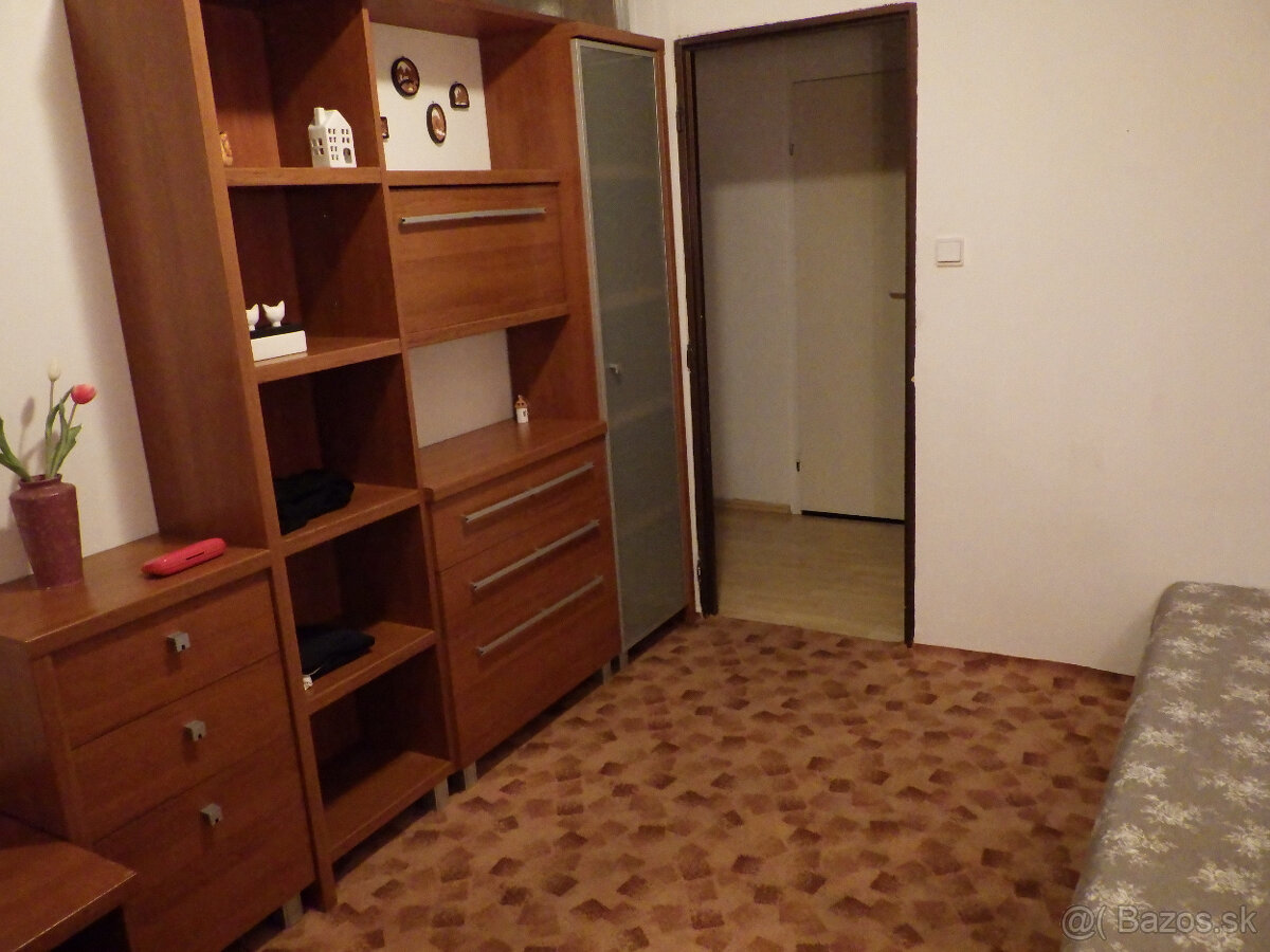 3-izbový byt pražského typu - 8