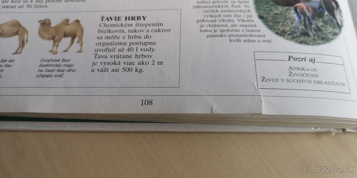 4 DETSKE ILUSTROVANE ENCYKLOPÉDIE - IBA OSOBNÝ ODBER - 8