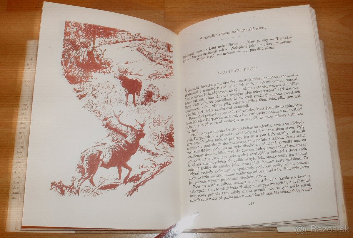 Lovy v Karpatech - 8