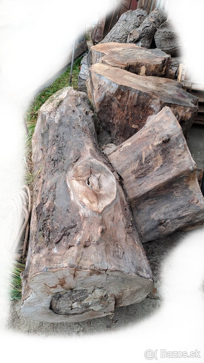 Predam orechove drevo - 8