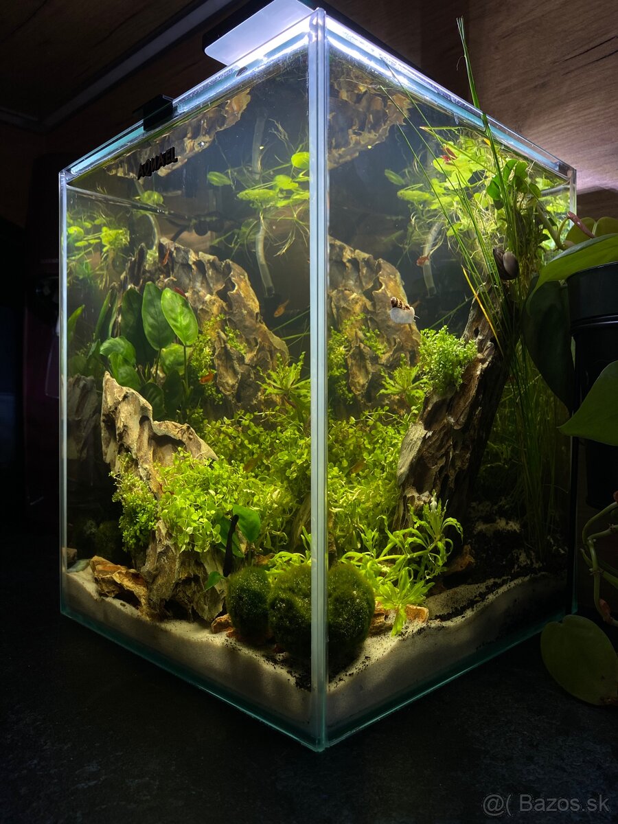Zabehnuté nano akvárium - 8